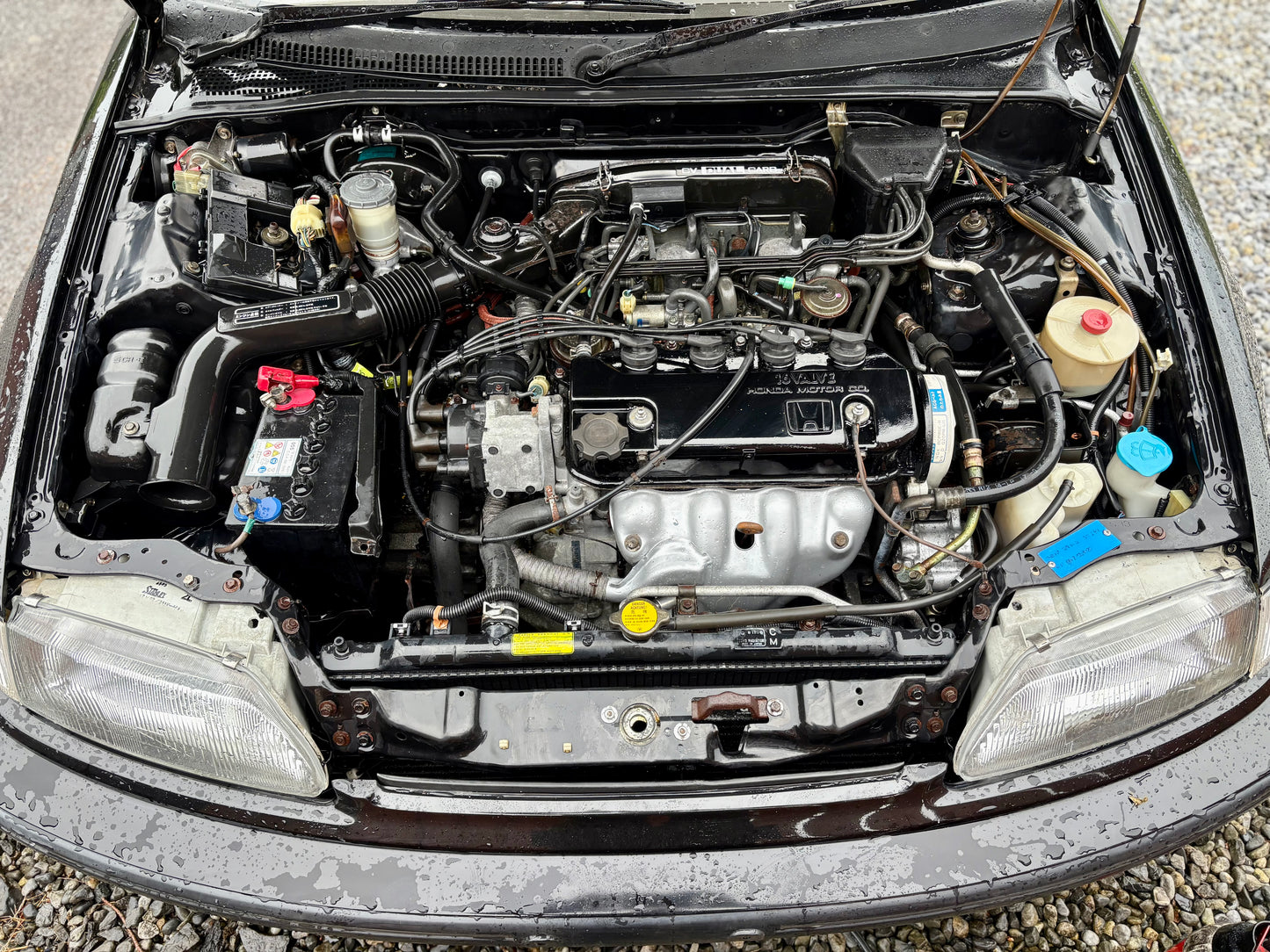 Honda Civic EF Hatchback (Japanese Import)