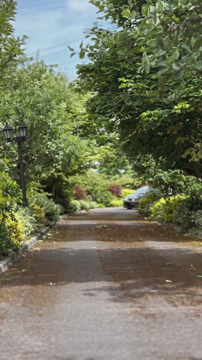 2001 Honda Civic Type R EP3 with JDM K20A DC5 Engine