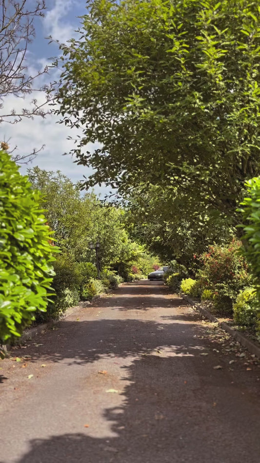 1996 Toyota Soarer GT-T – Factory Manual (R154) 2.5 Twin Turbo